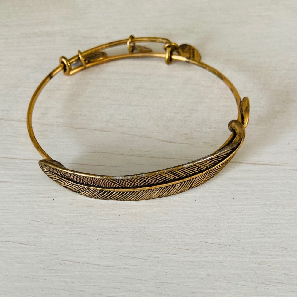 Alex and Ani feather bangle